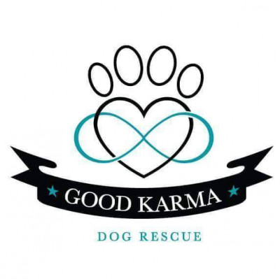Good Karma Dog Rescue - Pet Shelter and Rescue in River Vale, New Jersey