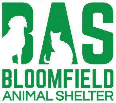 Bloomfield Animal Shelter  - John A. Bukowski Shelter For Animals - Pet Shelter and Rescue in Bloomfield, New Jersey