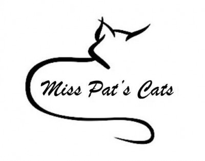 Miss Pats Cats - Pet Shelter and Rescue in East Orange, New Jersey