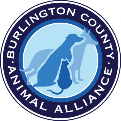 Burlington County Animal Alliance - Pet Shelter and Rescue in Willingboro, New Jersey