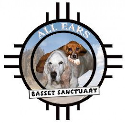 All Ears Basset Sanctuary Inc - Pet Shelter and Rescue in Albuquerque, New Mexico