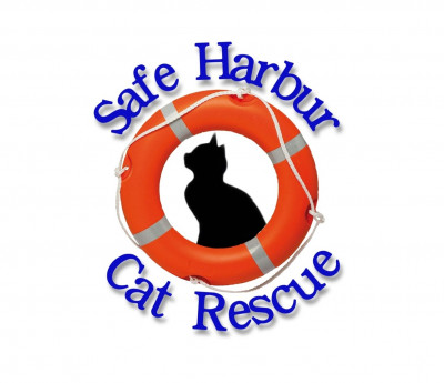 Safe Harbur Cat Rescue - Pet Shelter and Rescue in Las Vegas, Nevada
