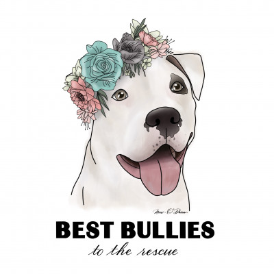 Best Bullies - Pet Shelter and Rescue in Yonkers, New York