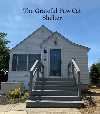 Grateful Paw Cat Shelter, LAPH - Pet Shelter and Rescue in East Northport, New York