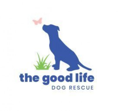 The Good Life Dog Rescue - Pet Shelter and Rescue in New York, New York
