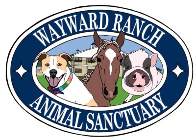 Wayward Ranch Animal Sanctuary - Pet Shelter and Rescue in Kerhonkson, New York
