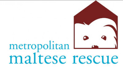 Metropolitan Maltese Rescue - Pet Shelter and Rescue in New York, New York