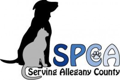 SPCA Serving Allegany County - Pet Shelter and Rescue in Belmont, New York