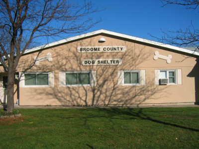 Broome County Dog Shelter - Pet Shelter and Rescue in Binghamton, New York