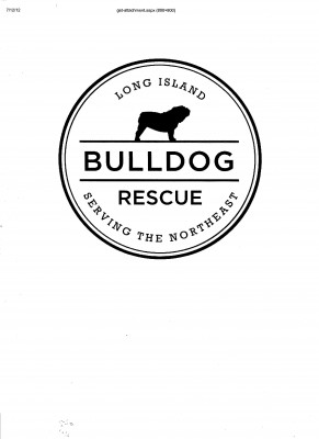 Long Island Bulldog Rescue - Pet Shelter and Rescue in Stony Brook, New York