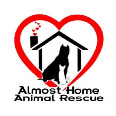 Almost Home Animal Rescue - Pet Shelter and Rescue in Fort Worth, Texas