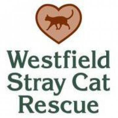 Westfield Stray Cat Rescue - Pet Shelter and Rescue in Westfield, New York