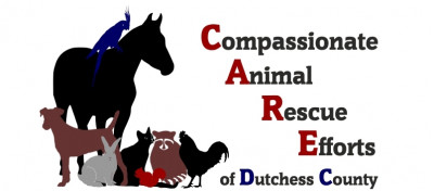 Compassionate Animal Rescue Of Dutchess County - Pet Shelter and Rescue in Wappingers Falls, New York