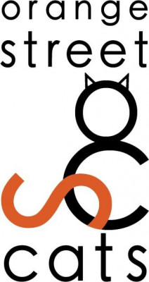Orange Street Cats, Inc. - Pet Shelter and Rescue in Albany, New York