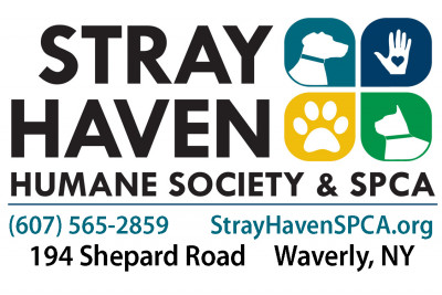 Stray Haven Humane Society And S.P.C.A. Inc. - Pet Shelter and Rescue in Waverly, New York
