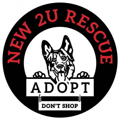New2U Rescues - Pet Shelter and Rescue in Rochester, New York
