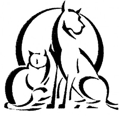 Animal Shelter Of Schoharie Valley - Pet Shelter and Rescue in Howes Cave, New York