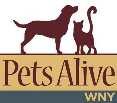 Pets Alive WNY - Pet Shelter and Rescue