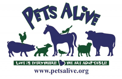 Pets Alive - Pet Shelter and Rescue in Middletown, New York