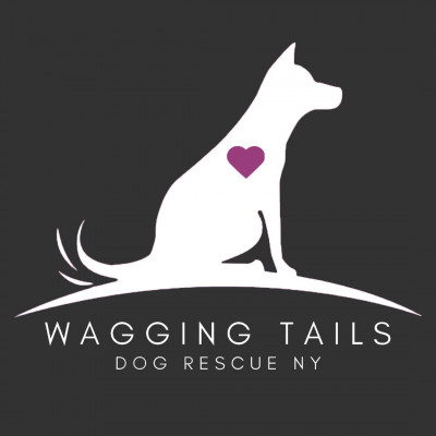 Wagging Tails Dog Rescue NY - Pet Shelter and Rescue in Thornwood, New York