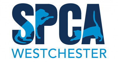 SPCA Westchester - Pet Shelter and Rescue in Briarcliff Manor, New York