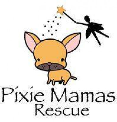 Pixie Mamas Rescue - Pet Shelter and Rescue in Buffalo, New York
