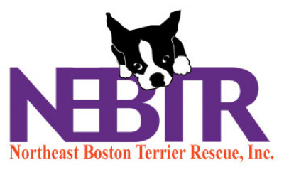 Northeast Boston Terrier Rescue Inc. - Pet Shelter and Rescue in New York, New York