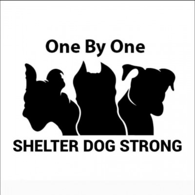 Fontastic Kennels - Pet Shelter and Rescue in Rocky Point, New York