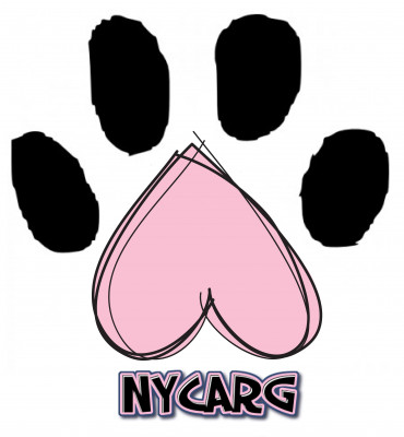 NYC Animal Rescue Girls (NYCARG) - Pet Shelter and Rescue in New York, New York