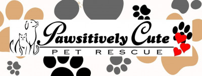 Pawsitively Cute Pet Rescue - Pet Shelter and Rescue in Rochester, New York