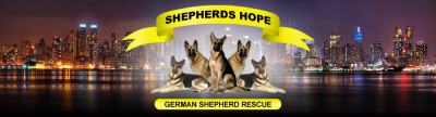 Shepherds Hope Rescue - Pet Shelter and Rescue in Glen Head, New York