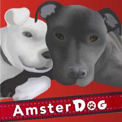 AmsterDog - Pet Shelter and Rescue in New York, New York