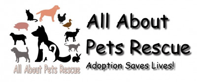 All About Pets Rescue - Pet Shelter and Rescue in Troupsburg, New York