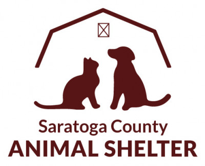 Saratoga County Animal Shelter - Pet Shelter and Rescue in Ballston Spa, New York