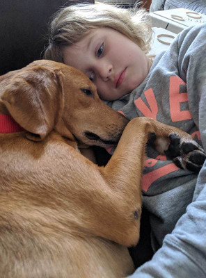 Precious Pound Pups, Inc. - Pet Shelter and Rescue in Hillsdale, New York