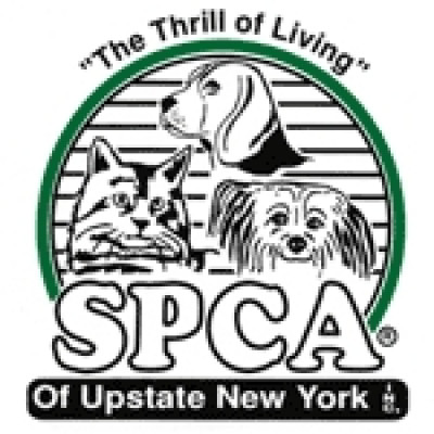 SPCA Of Upstate New York - Pet Shelter and Rescue