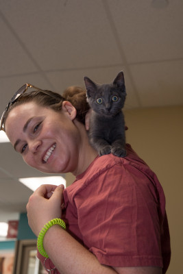 City Critters Inc. - Pet Shelter and Rescue in New York, New York