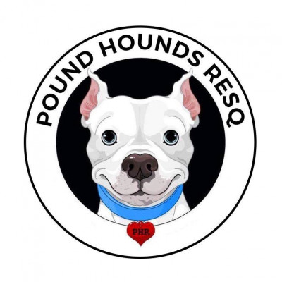 Pound Hounds Res-Q - Pet Shelter and Rescue in New York, New York