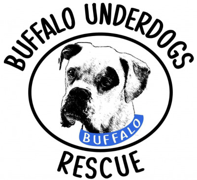 Buffalo Underdogs Rescue - Pet Shelter and Rescue