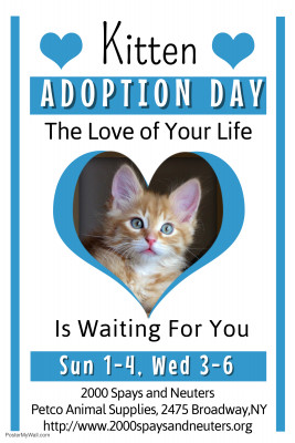 2000 Spays And Neuters Animal Rescue - Pet Shelter and Rescue in New York, New York