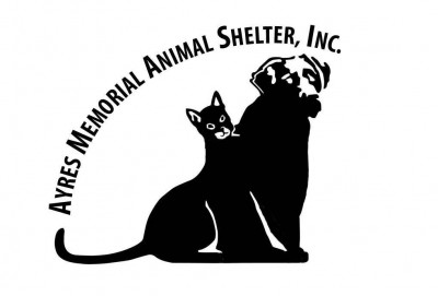 Ayres Memorial Animal Shelter - Pet Shelter and Rescue in Sprakers, New York