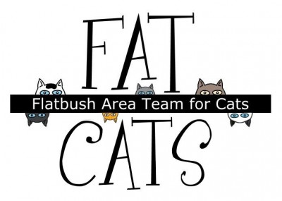 FAT Cats - Pet Shelter and Rescue