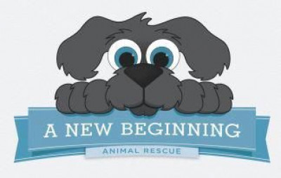 A New Beginning Animal Rescue Corp. - Pet Shelter and Rescue in Plainview, New York
