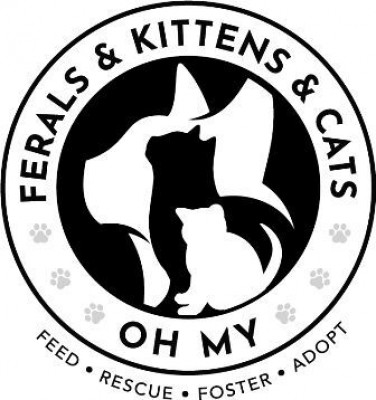 Ferals And Kittens And Cats Oh My - Pet Shelter and Rescue in Brighton, New York