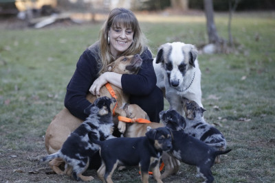 Rescue Pups - Pet Shelter and Rescue in Friendship, New York