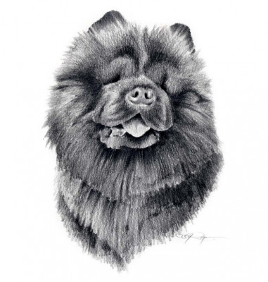 Pet Adoption League Of New York, Inc. - Pet Shelter and Rescue in Dix Hills, New York