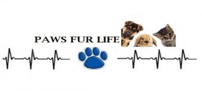 Paws Fur Life - Pet Shelter and Rescue in Massillon, Ohio