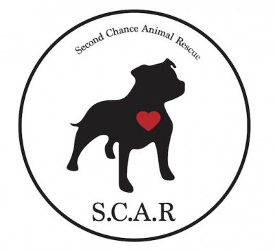 Second Chance Animal Rescue - Pet Shelter and Rescue in Gates Mills, Ohio