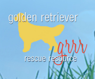 Golden Retriever Rescue Resource - Pet Shelter and Rescue in Waterville, Ohio