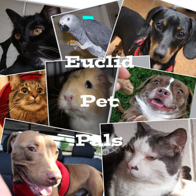 Euclid Animal Shelter - Pet Shelter and Rescue in Euclid, Ohio